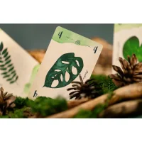 13 Leaves DE