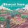 Minecart Town